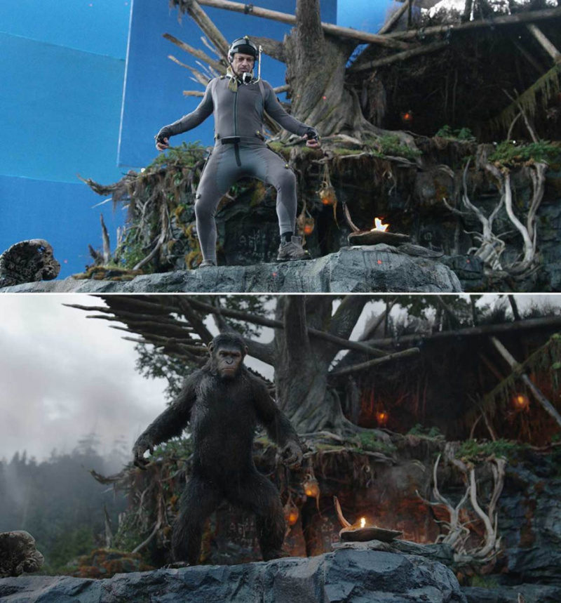 planetos-beždžionės-palyginimas-ctr-2