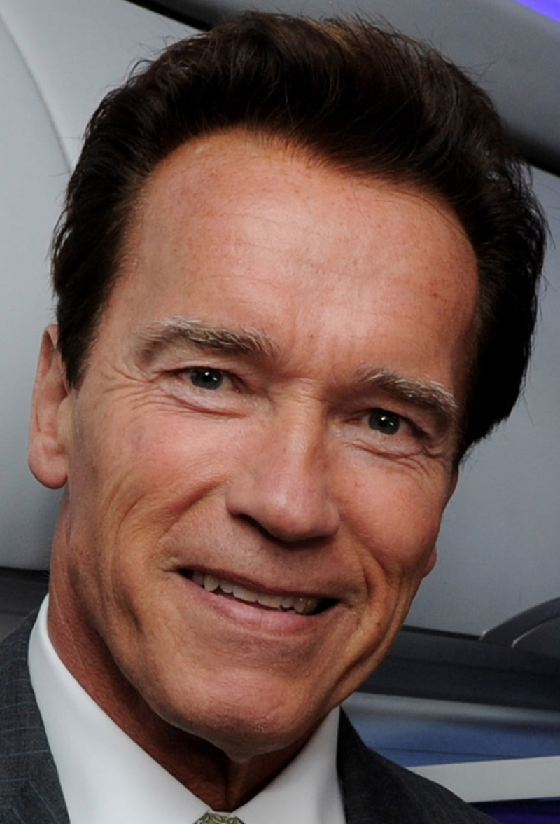   Slide-Arnold-Schwarzenegger
