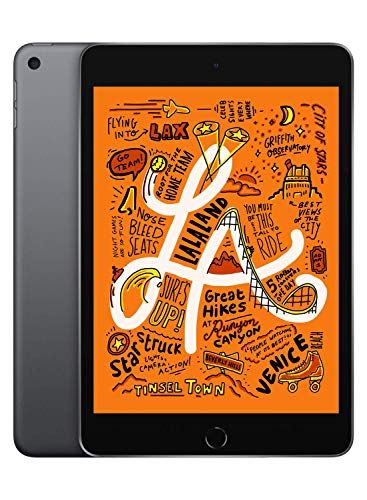2019 m. „Apple iPad Mini“ („Wi-Fi“, 64 GB) - pilka