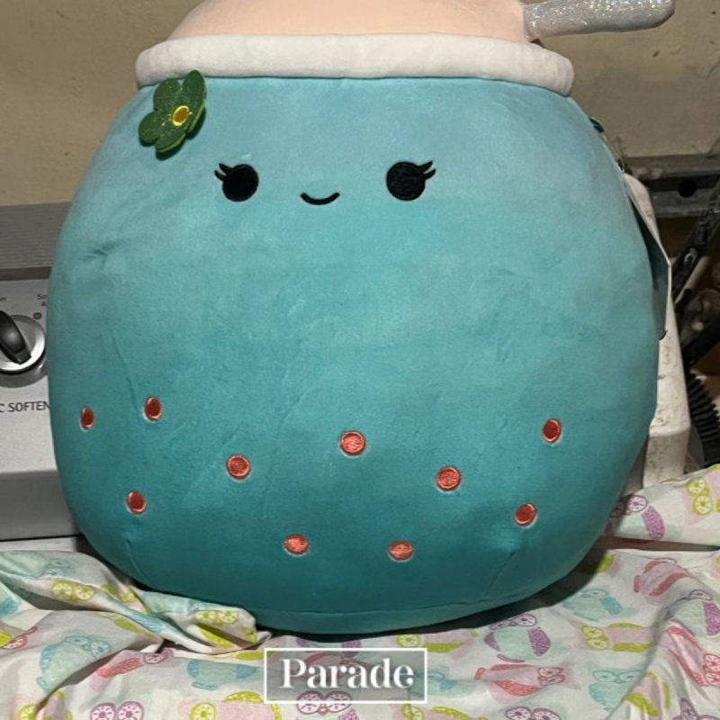 Prepararsi a lavare uno squishmallow