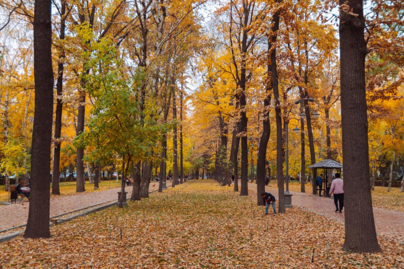 Fall park