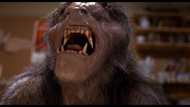 David Naughton als David Kessler die in een weerwolf verandert"An American Werewolf in London"