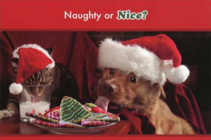  Lustige Weihnachtskarten frech oder nett