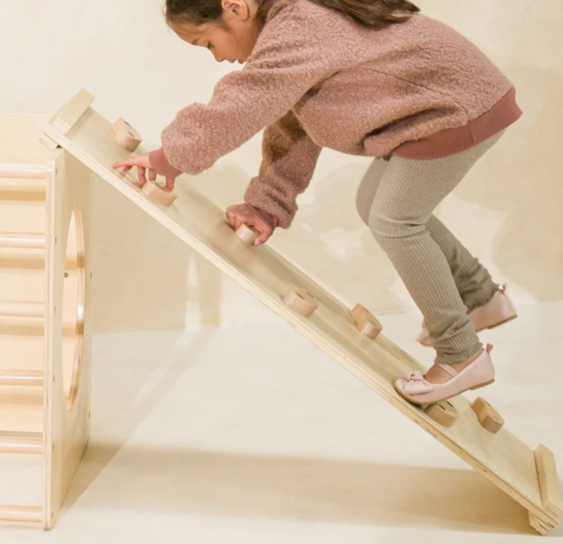 Montessori Kavrama Tırmanma Kurulu
