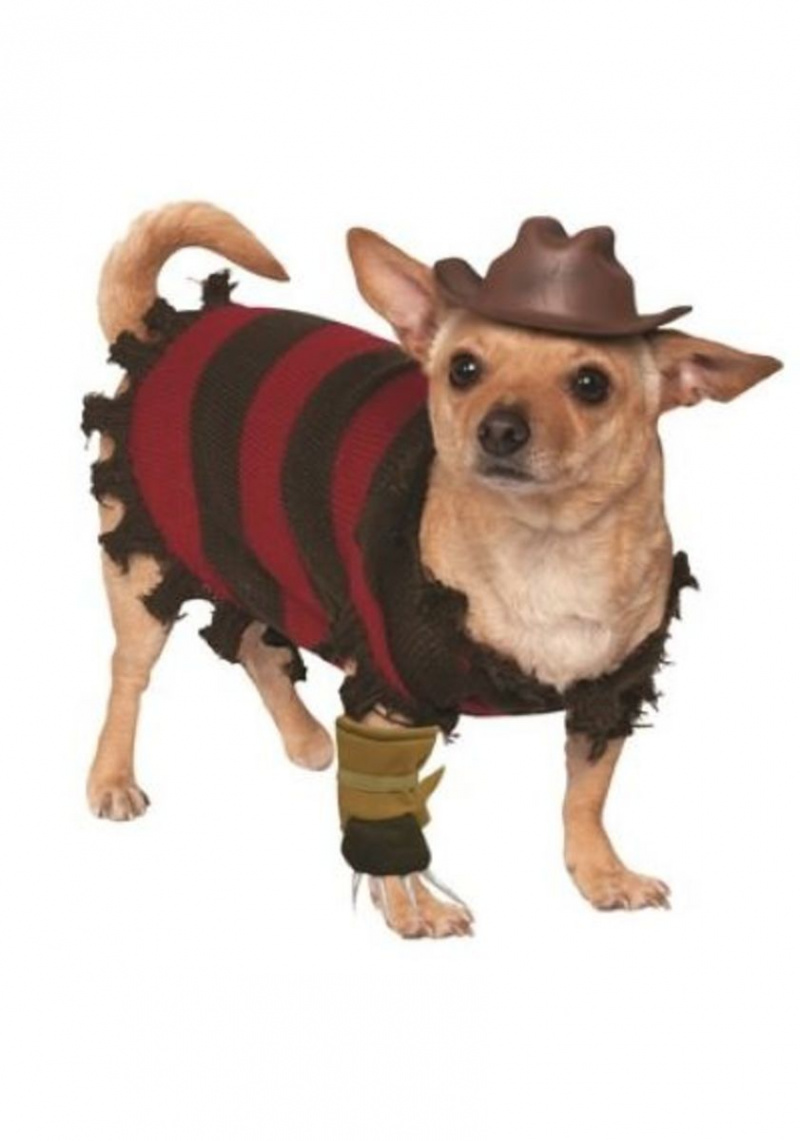 Pet Freddy Krueger kostym