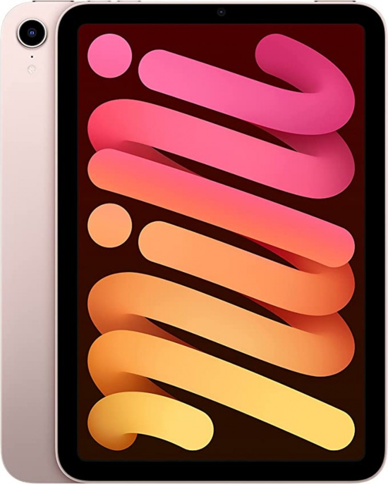   Apple 2019 iPad Mini