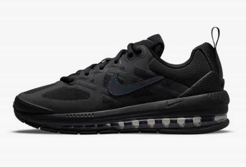   Nike Air Max Genome