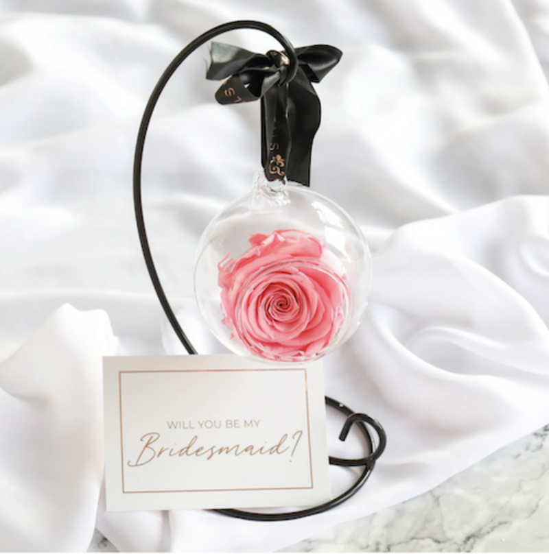   Rose conservate