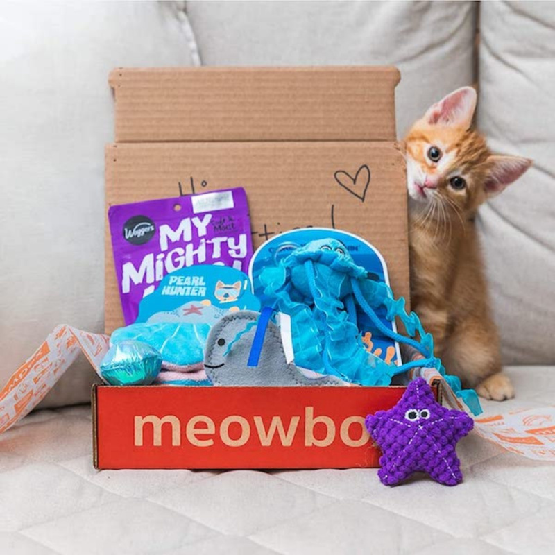   Meowbox