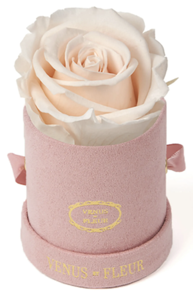   Venus Et Fleur Classic Le Mini™ apvali amžinybės rožė