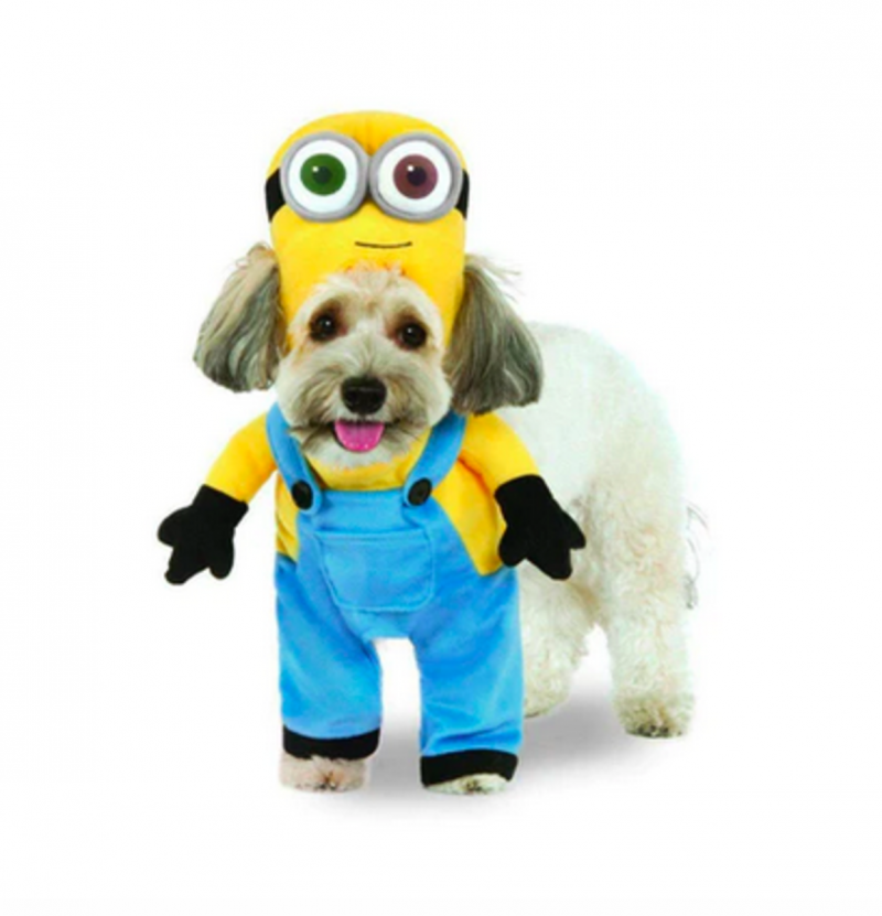 Costume da mascotte dei Minion