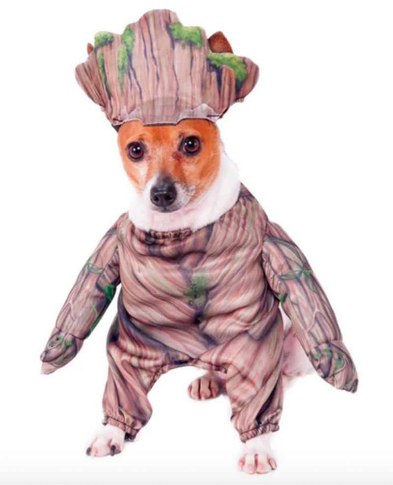 Costume da Groot dei Guardiani della Galassia