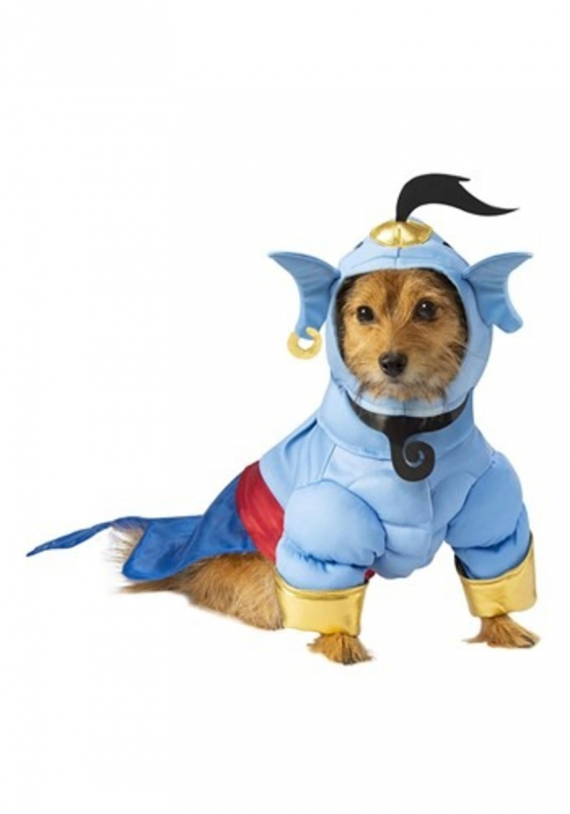 Costume da Genio di Aladino