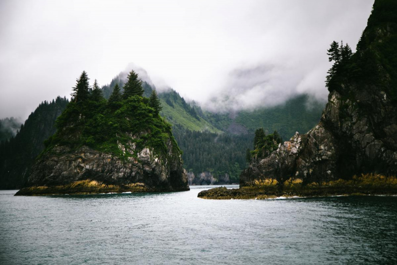 Costa dei fiordi di Kenai in Alaska